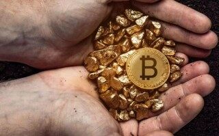 排币价格 - 排排币是干什么用的