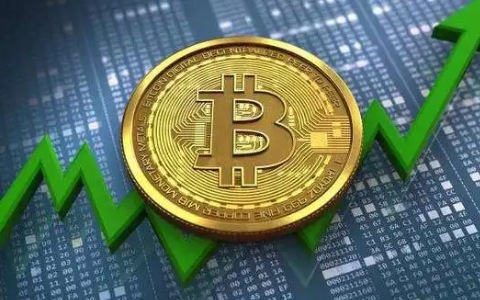什么平台买比特币|虚拟币交易平台软件-第7张图片-币安下载