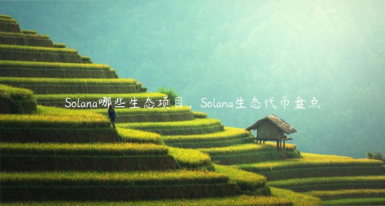 Solana哪些生态项目，Solana生态代币盘点-第1张图片-欧易下载