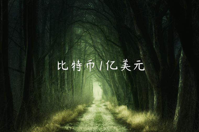 比特币1亿美元-第1张图片-欧易下载