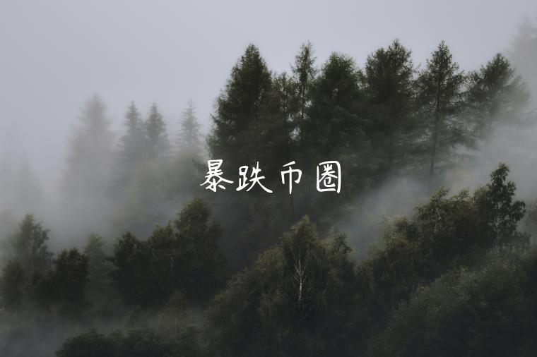 暴跌币圈-第1张图片-欧易下载
