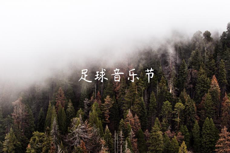 足球音乐节-第1张图片-欧易下载