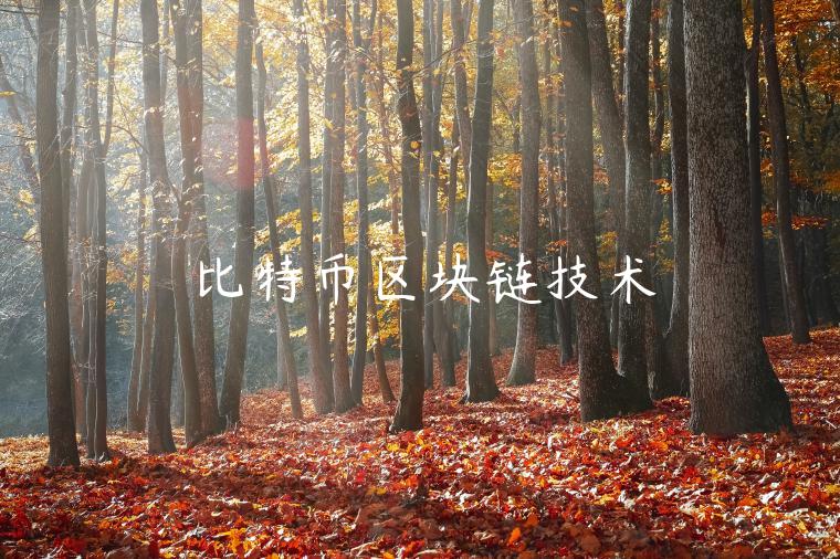 比特币区块链技术-第1张图片-欧易下载