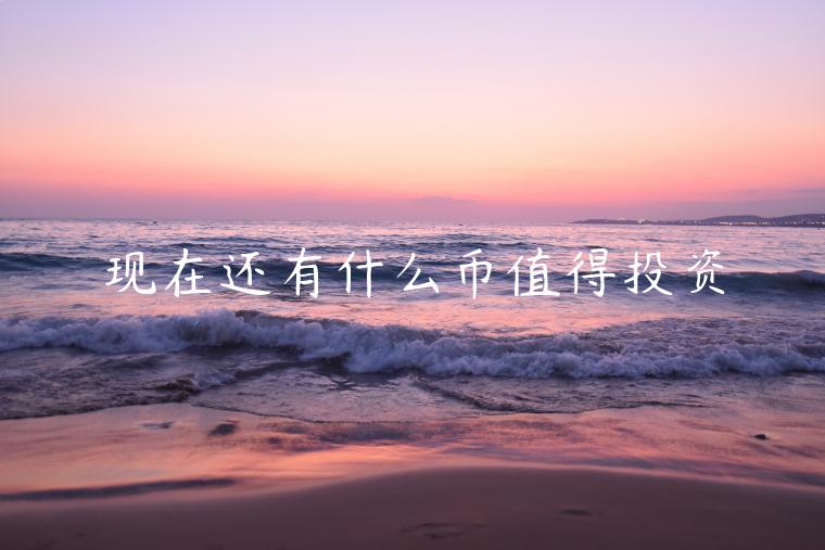 现在还有什么币值得投资-第1张图片-欧易下载