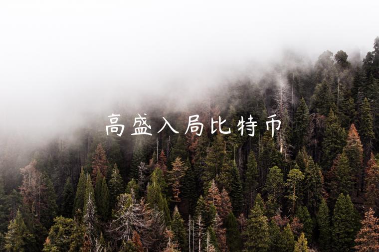 高盛入局比特币-第1张图片-欧易下载