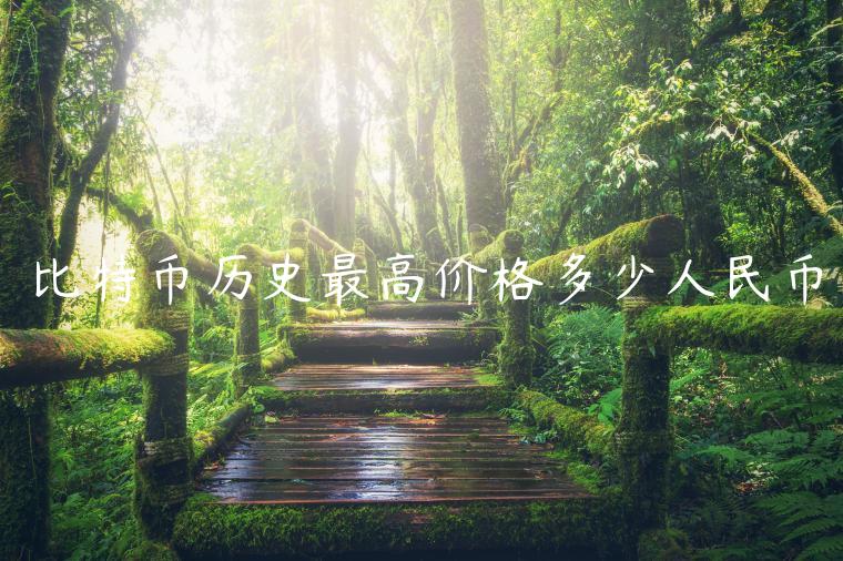 比特币历史最高价格多少人民币-第1张图片-欧易下载