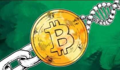 binance怎么查看收款地址(v6.1.24)_交易所下载-第5张图片-币安下载