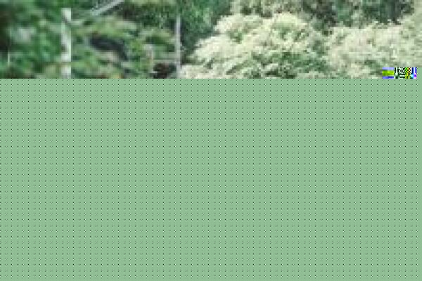 以太坊价格热（以太坊最新价格及行情）-第1张图片-欧易下载