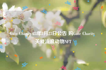 Gatb Charity 23年3月23日公告 购Gatb Charity 关爱流浪动物NFT-第1张图片-币安下载