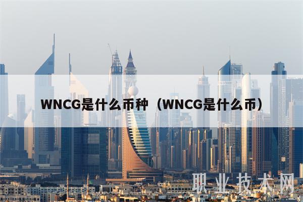 WNCG是什么币种（WNCG是什么币-第1张图片-币安下载