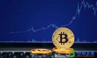 rp怎么玩 _ R怎么玩