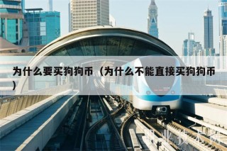 为什么要买狗狗币（为什么不能直接买狗狗币