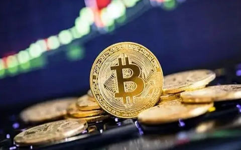 全球最大的比特币交易平台 前十交易所平台币-第2张图片-币安下载