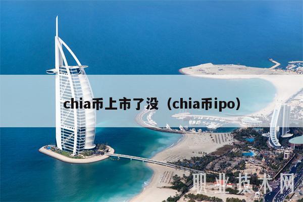 chia币上市了没（chia币ipo-第1张图片-币安下载
