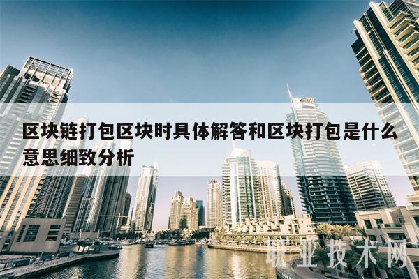 区块链打包区块时具体解答和区块打包是什么意思细致分析-第1张图片-币安下载