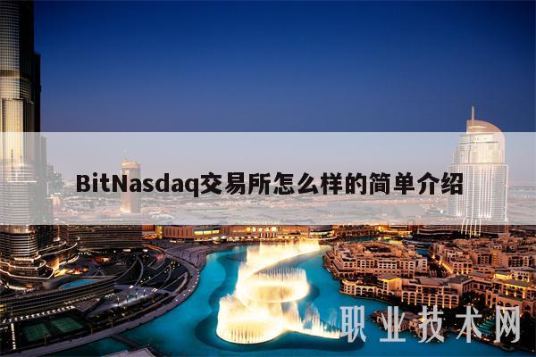 BitNasdaq交易所怎么样的简单介绍-第1张图片-币安下载