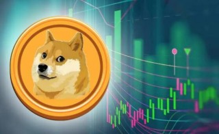 交易所平台币都有哪些_狗狗币交易平台