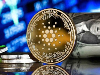 亚马逊交易所平台代币_数字货币交易平台有哪些