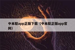 中本聪app正版下载（中本聪正版app官网）