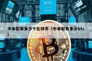 中本聪有多少个比特币（中本聪有多少btc）