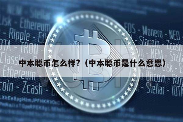 中本聪币怎么样?（中本聪币是什么意思）-第1张图片-币安下载