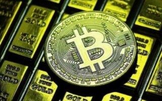 tr浏览器 _ tr浏览器怎么查不到