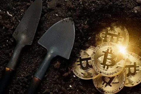 殴意交易所