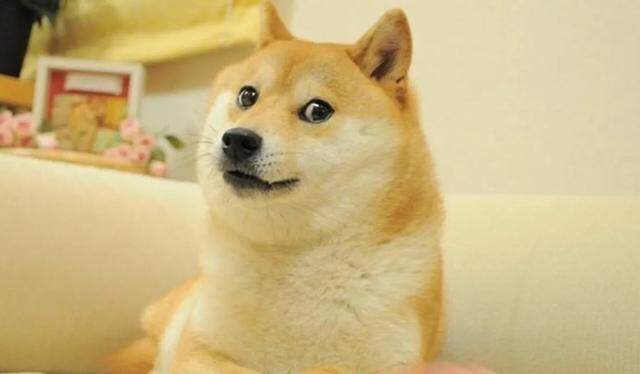 什么是“迷因币”？投资新宠「佩佩蛙币」席卷币圈-第3张图片-币安下载