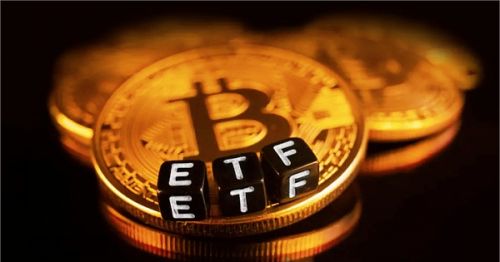 ICP币属于什么板块币种?ICP币是否有助于区块链技术的普及?