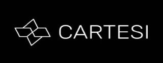 什么是Cartesi _ CTSI币
