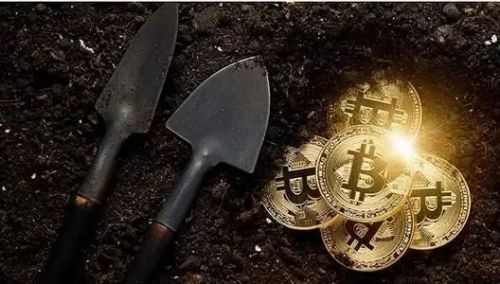 萨摩耶币（SAMO）是什么时候发行的？SAMO币可以做什么？-第1张图片-币安下载